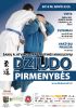 Tarptautinis-dziudo-2014.jpg